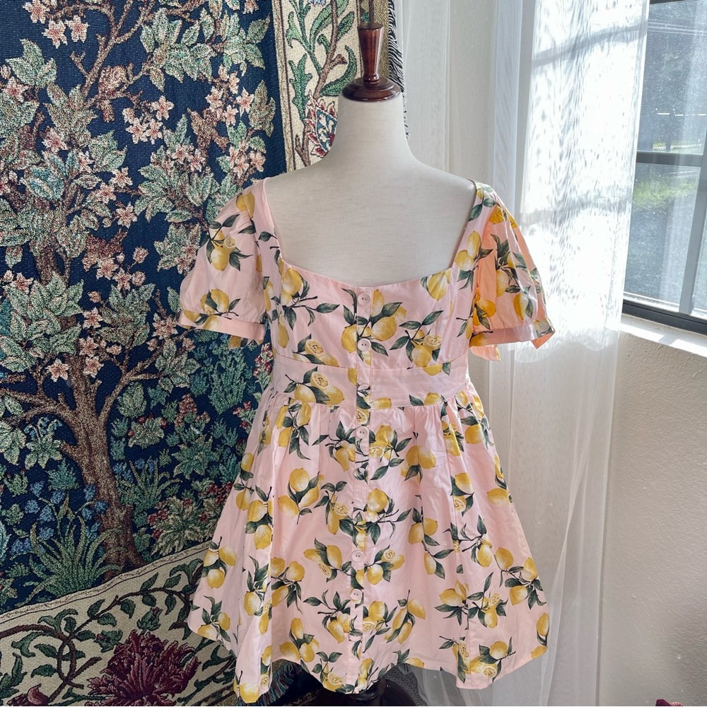 NWT Pastel Pink Lemon Floral Botanical Print Mini Dress from Lulu’s